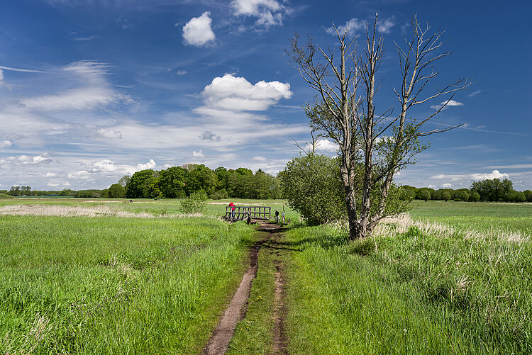 AdobeStock_436057229